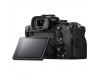 Sony Alpha 1 Kit 12-24mm f/2.8 Lens